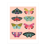 Lepidoptery No. 1 (Print Only) thumbnail