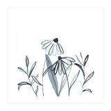 Meadow Line Work Square (Print Only) thumbnail
