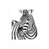 Zebra (Print Only) thumbnail