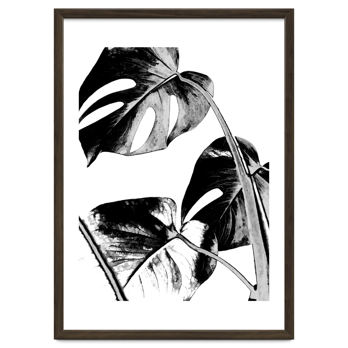 Black Tropical Leaves