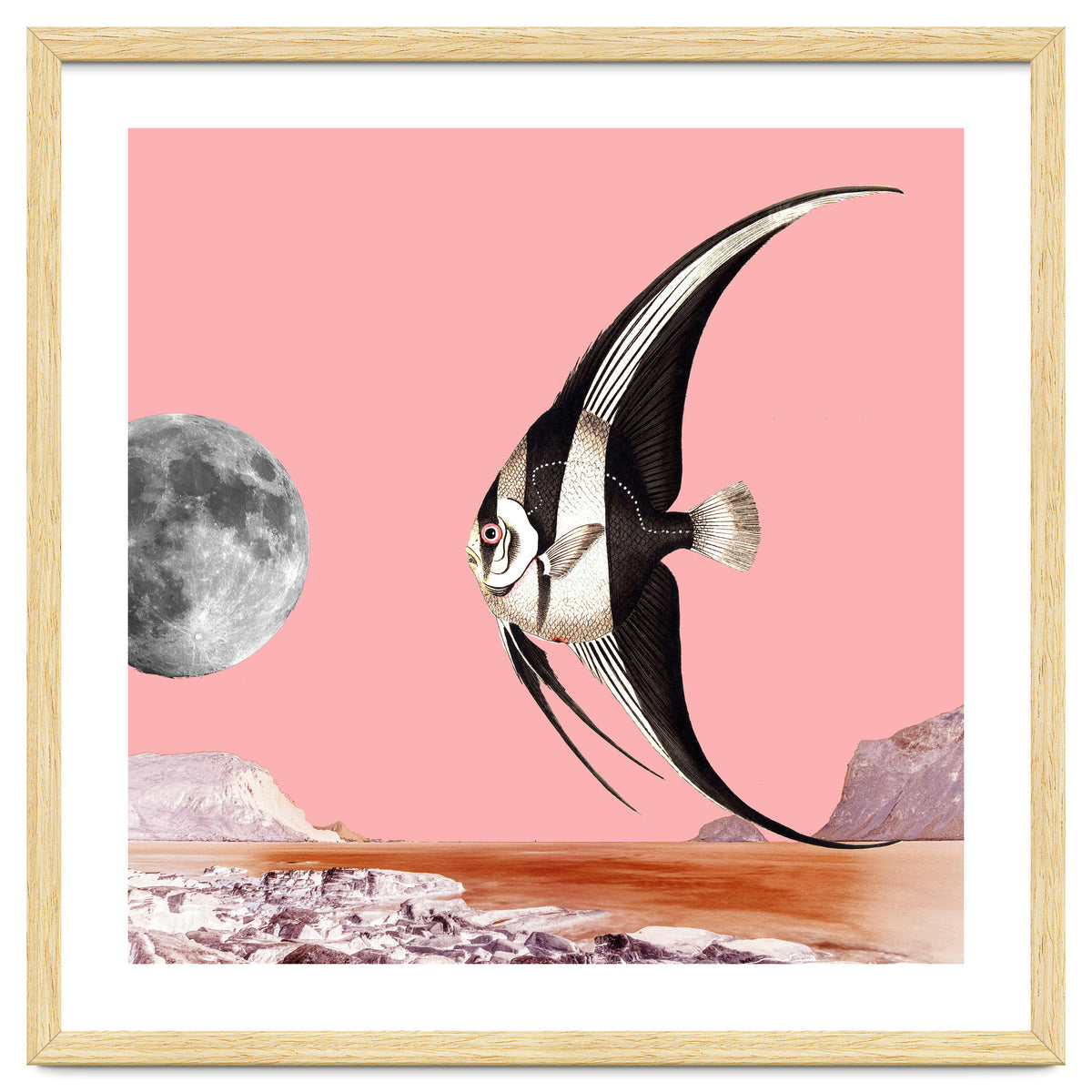 Plenty Of Fish In The Sea Pink