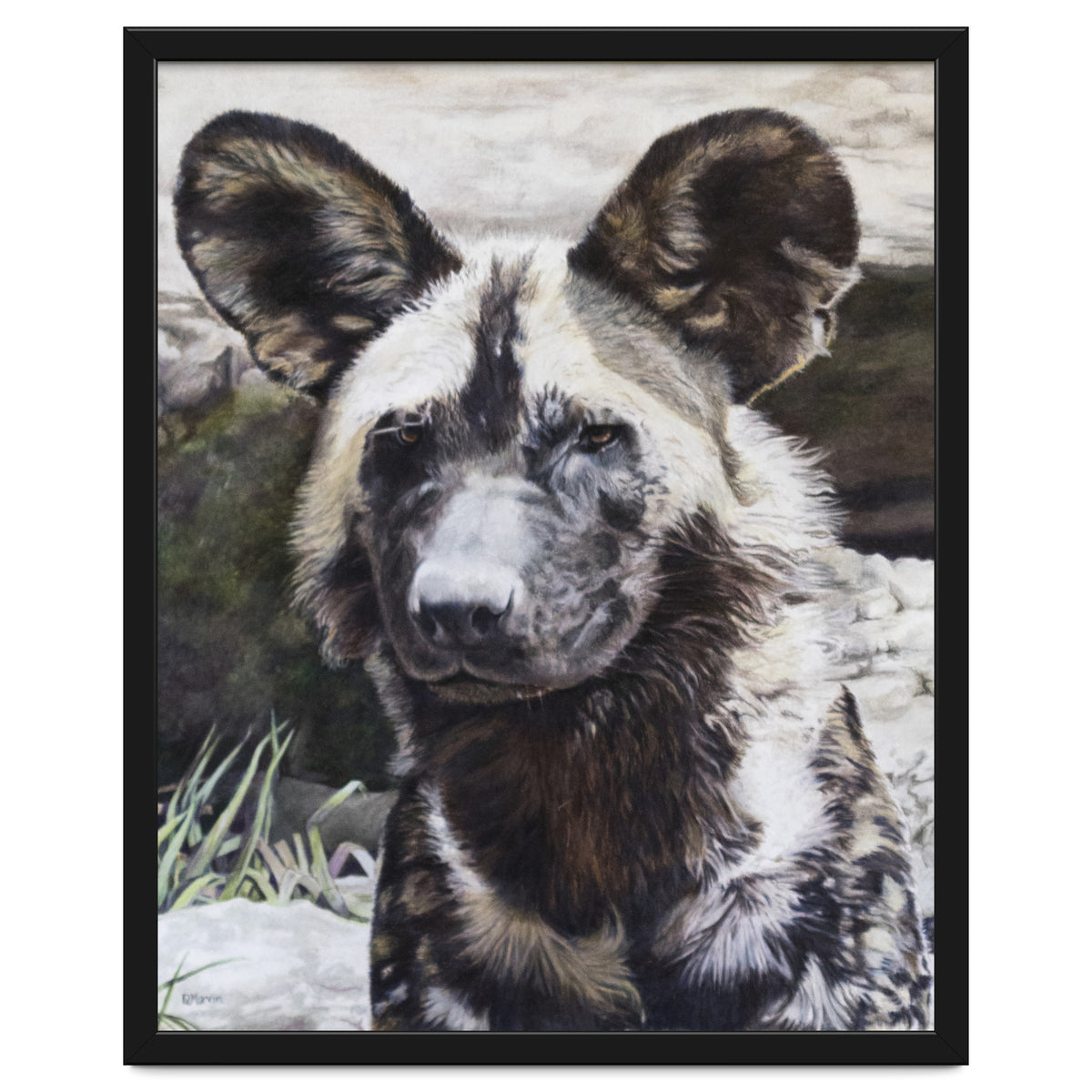 African Painted Dog II