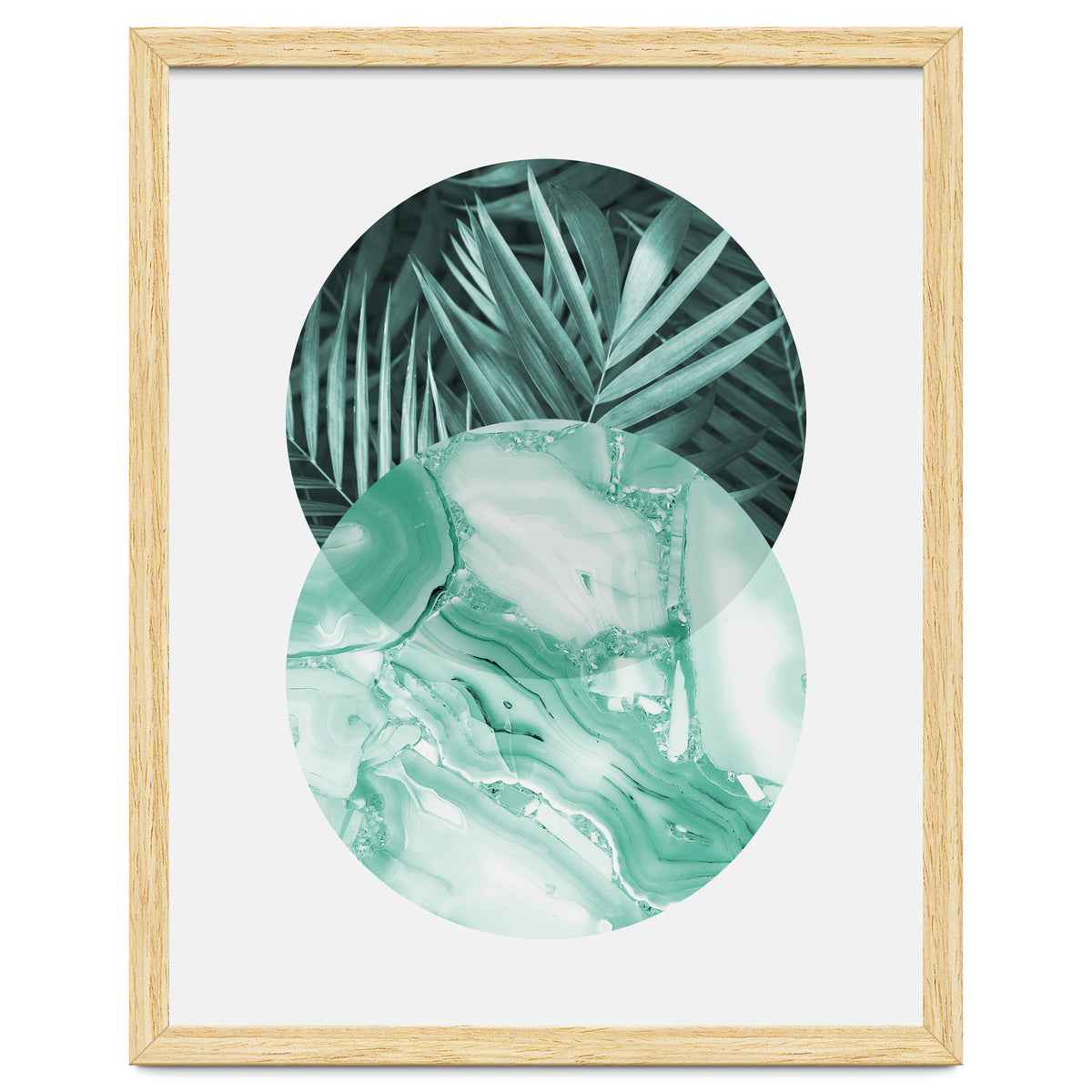 Botanical and geometric IV