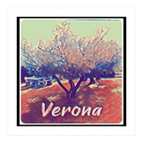 Olive Tree In Verona (Print Only) thumbnail