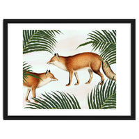 Red Fox Pair