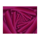 Pink Color Rose Swirl Art (Print Only) thumbnail