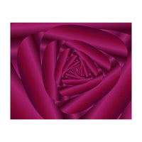 Pink Color Rose Swirl Art (Print Only)