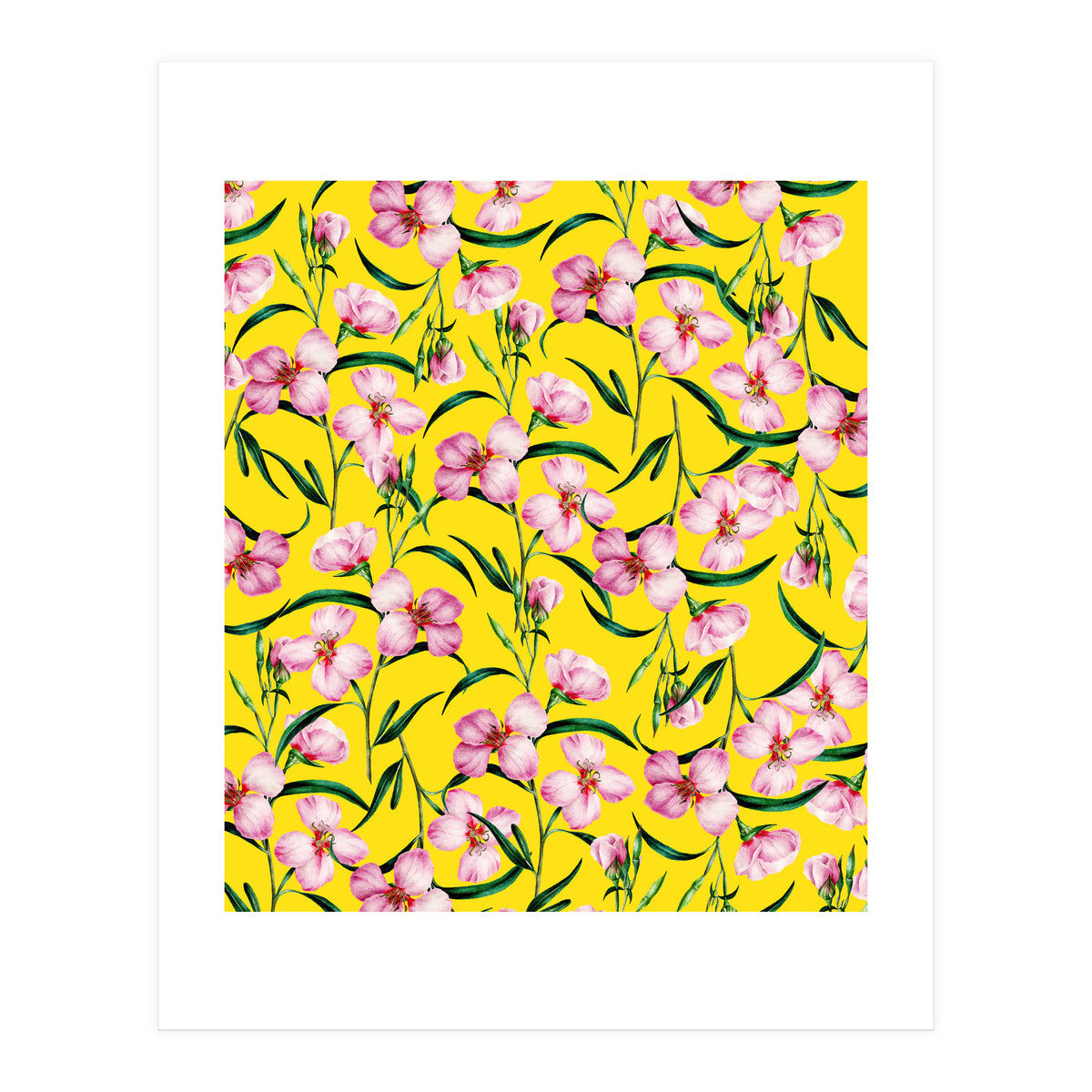 Querencia (Print Only)