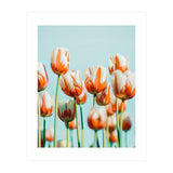 Estelle (Print Only) thumbnail
