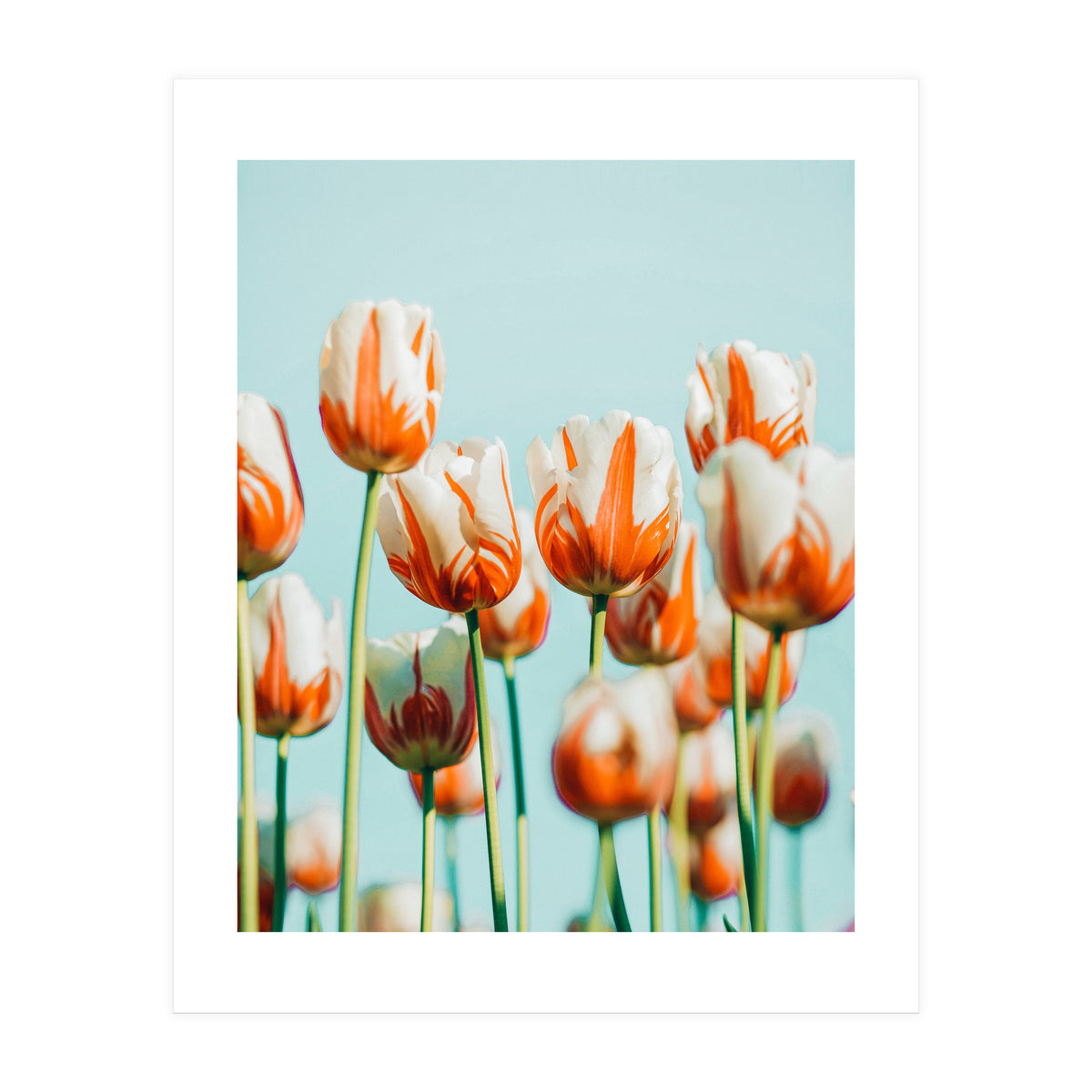 Estelle (Print Only)