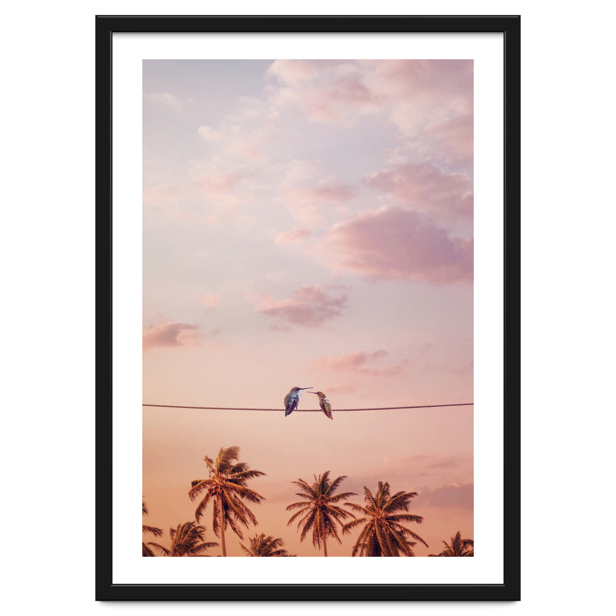 Hummingbirds In Love