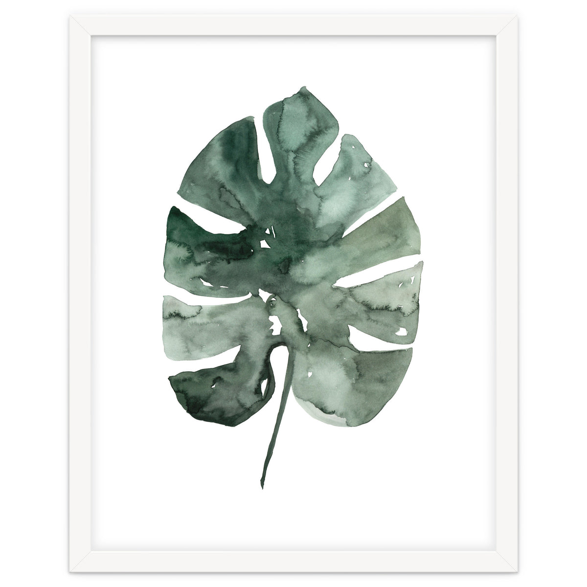 Botanical Illustration Monstera Leaf