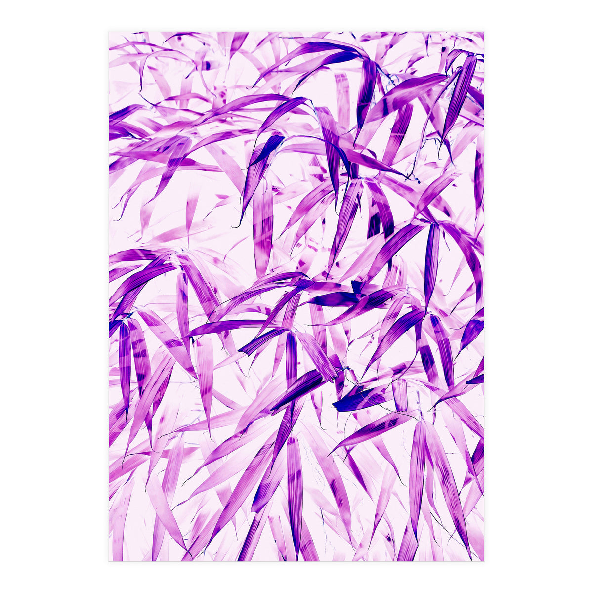 Ultra Violet (Print Only)