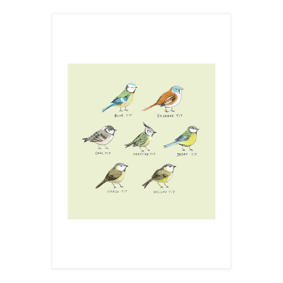 The Tit Family (Print Only)