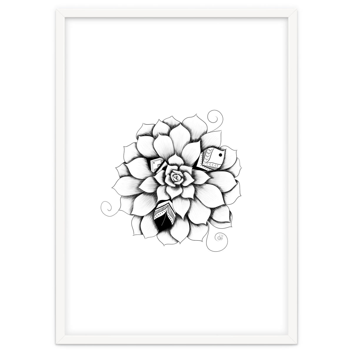 Poetic Echeveria Plant