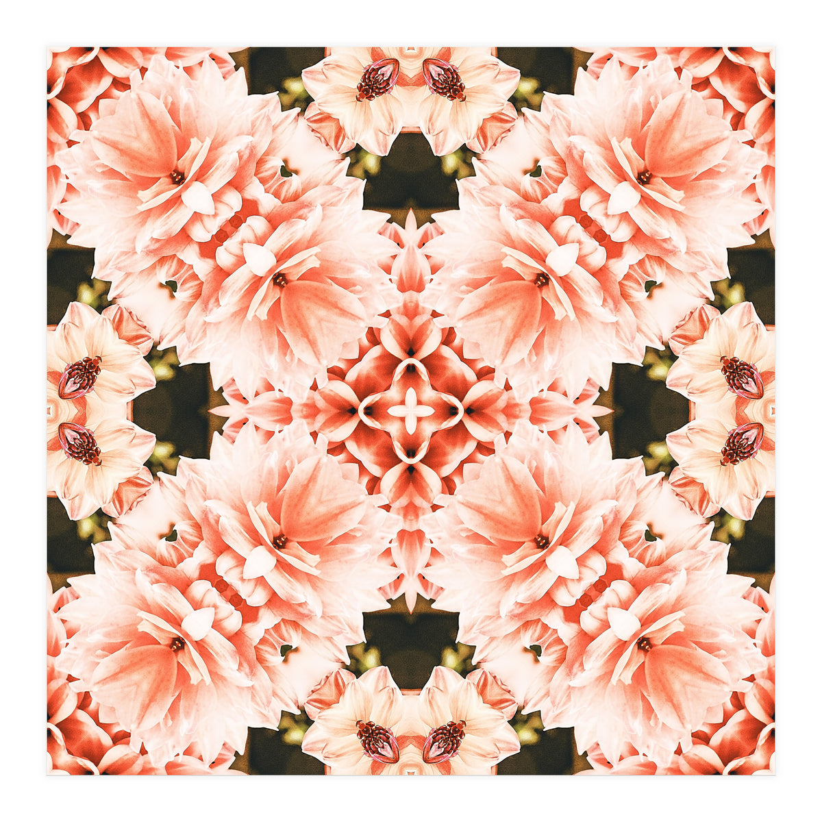 Blush Mandala (Print Only)