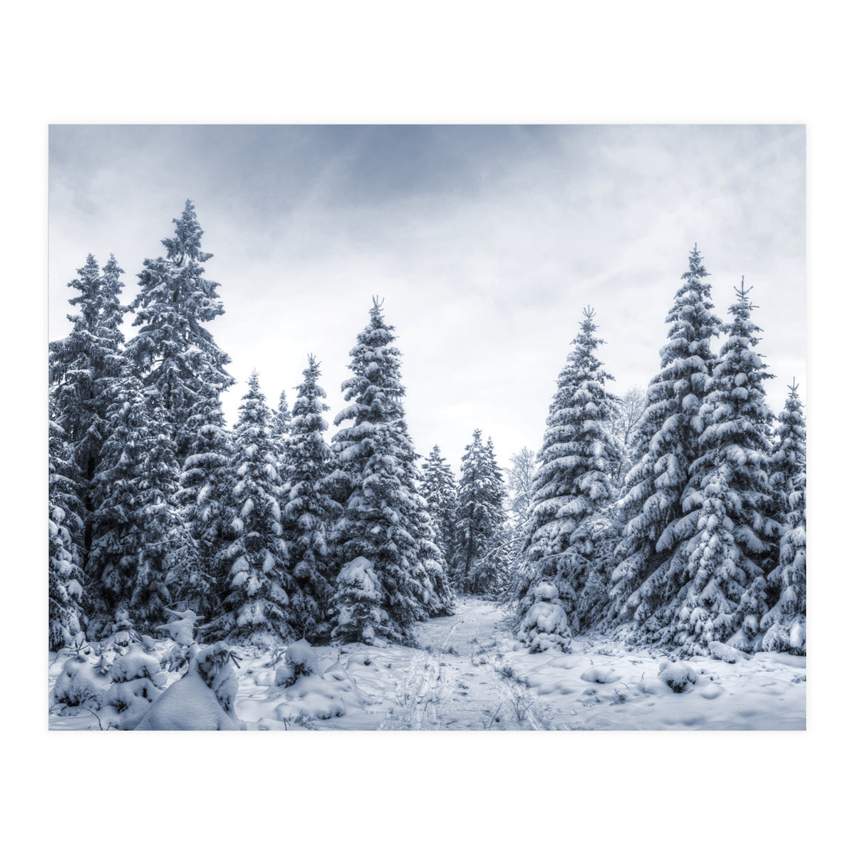 Winterland (Print Only)