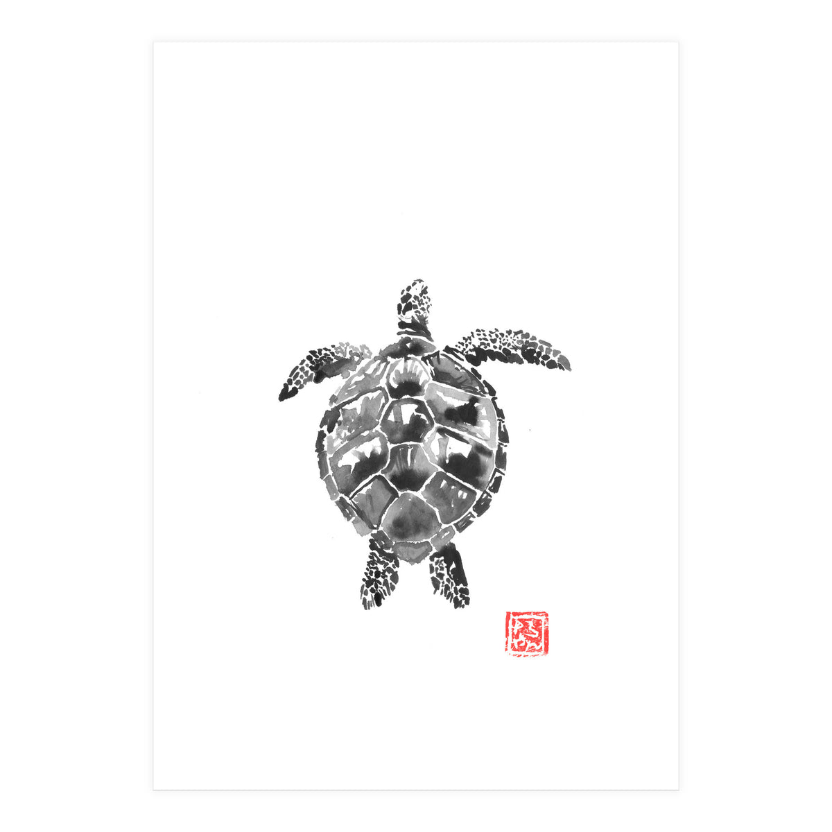 Tartoise (Print Only)