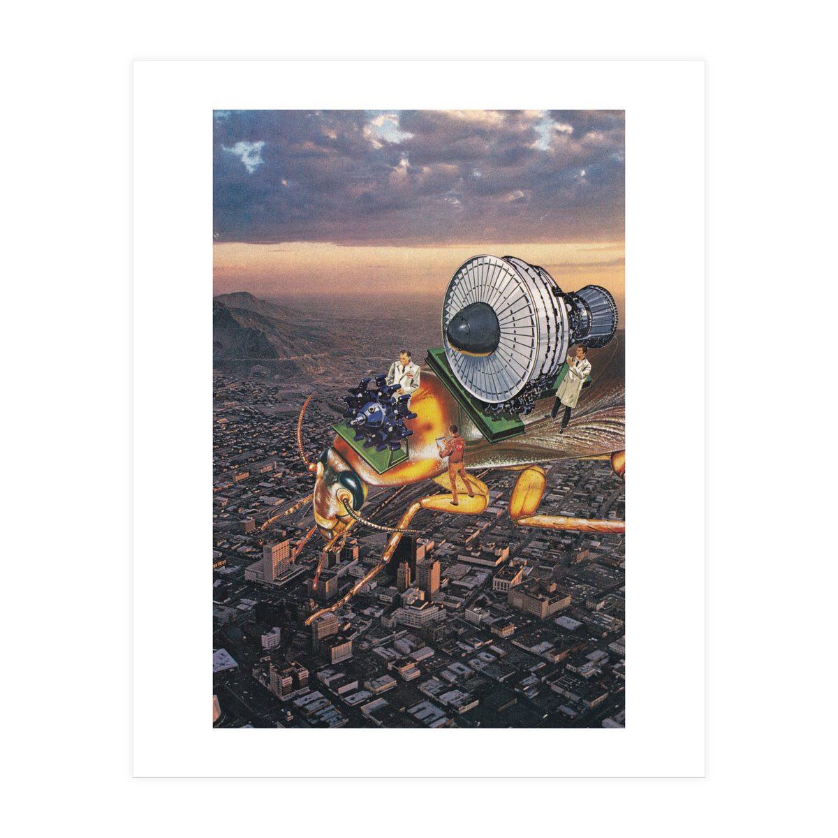 Cockroach Airways (Print Only)