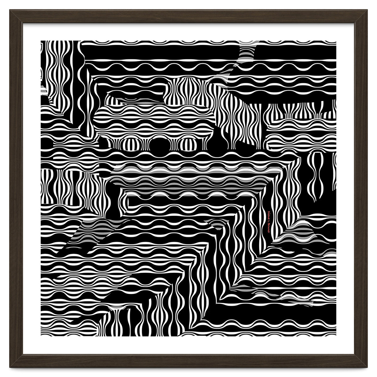 BLACK AND WHITE EXOTIC