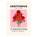 Sagittarius Birth Flower Carnation  (Print Only) thumbnail