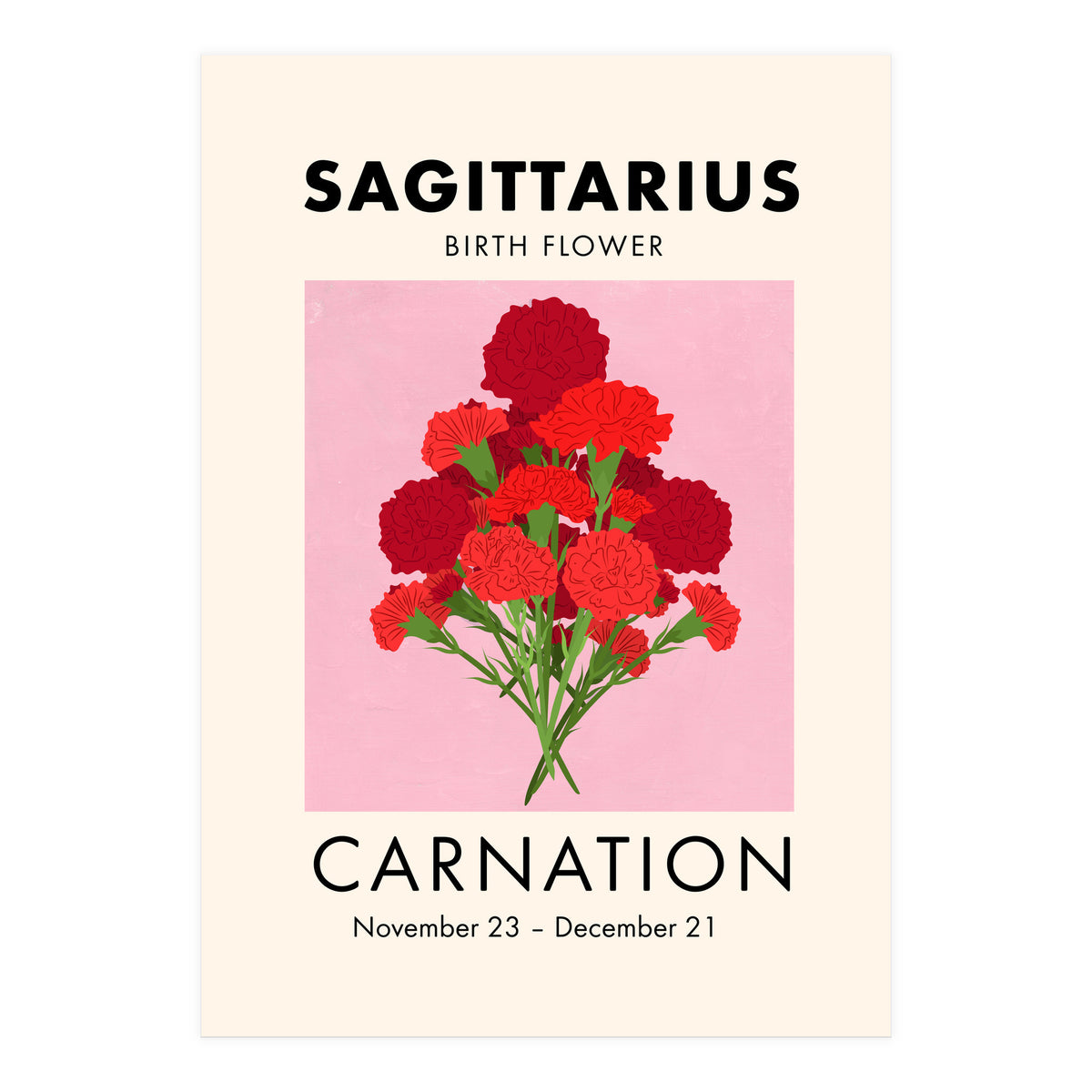 Sagittarius Birth Flower Carnation  (Print Only)