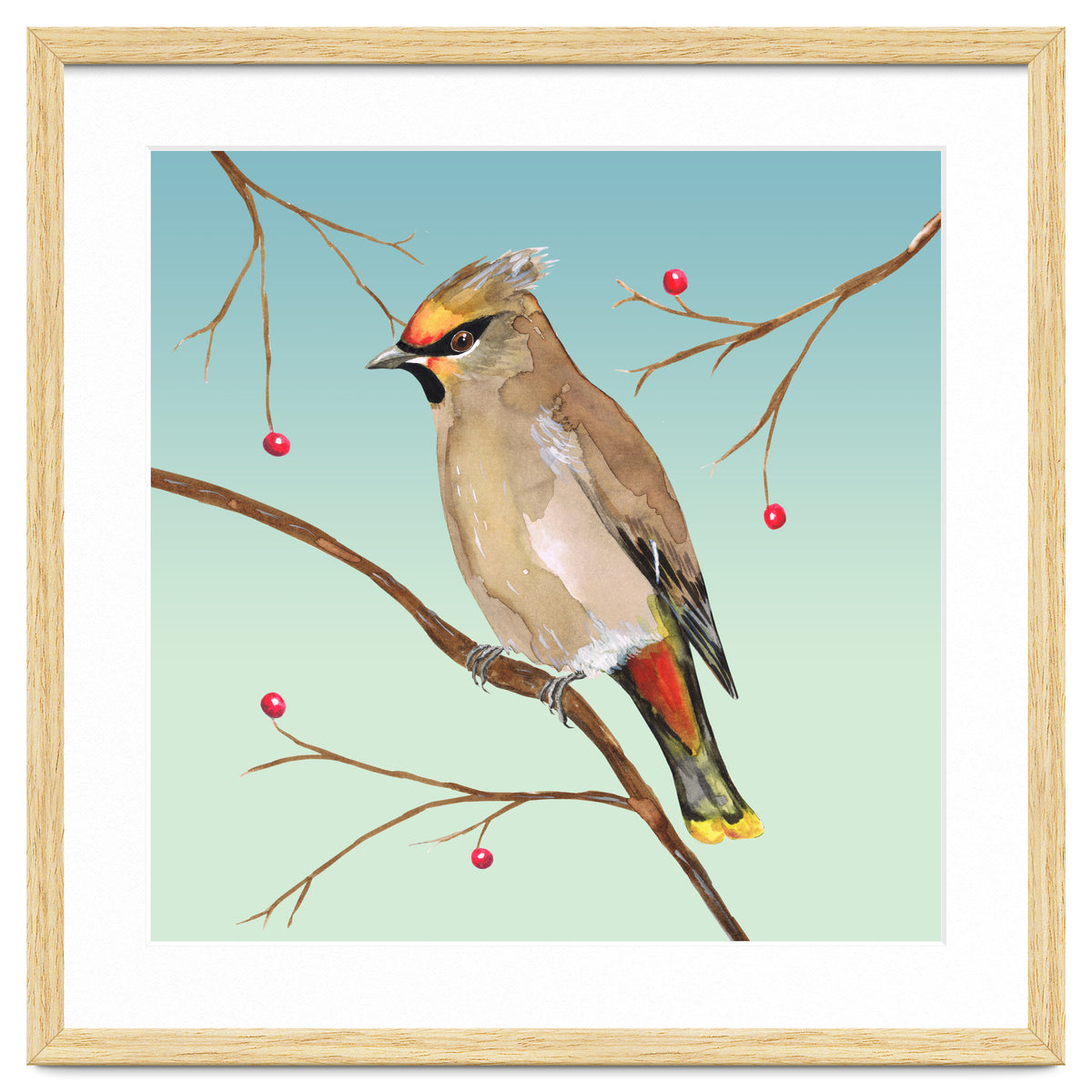 Bohemian waxwing