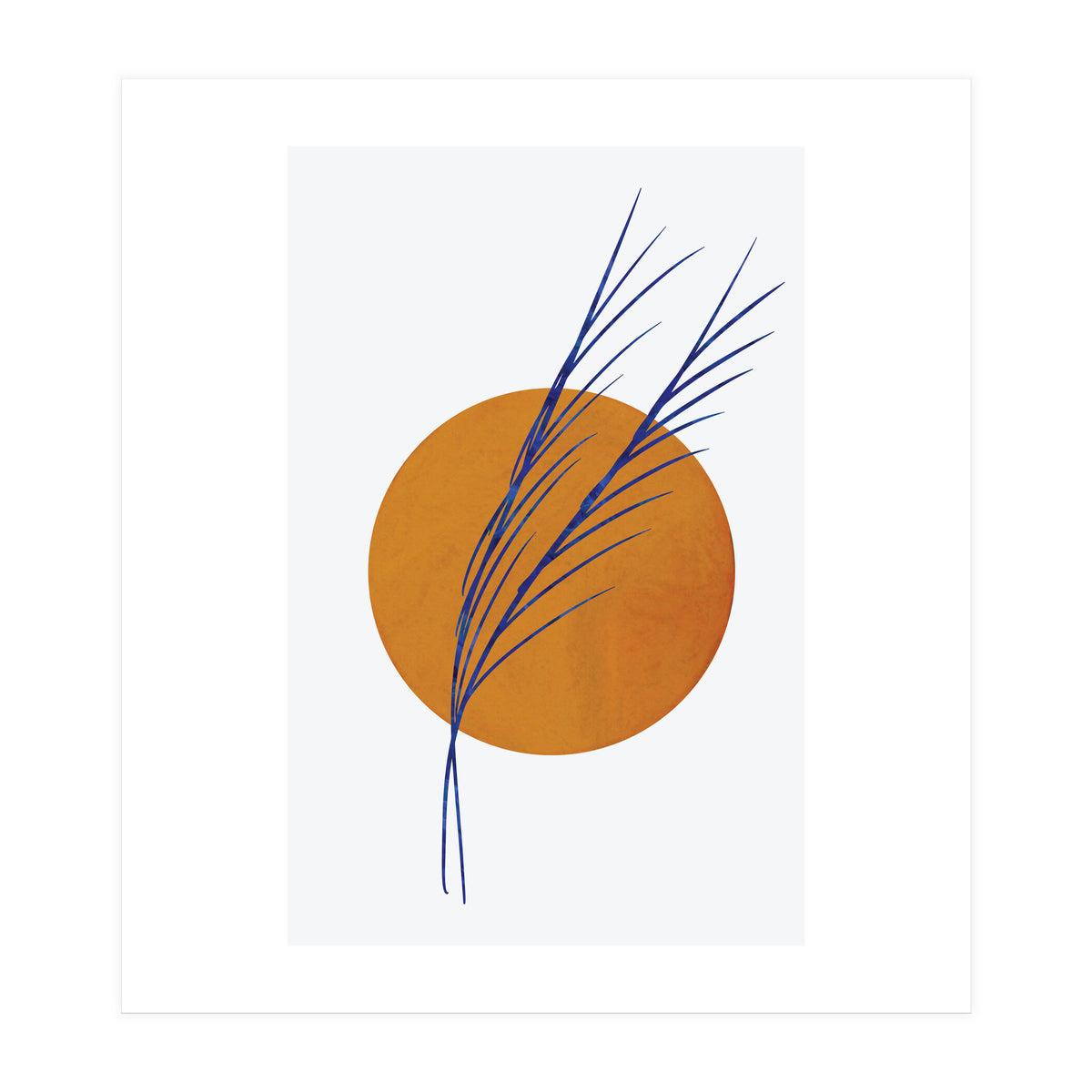 Floral Abstract Study 2  (Print Only)