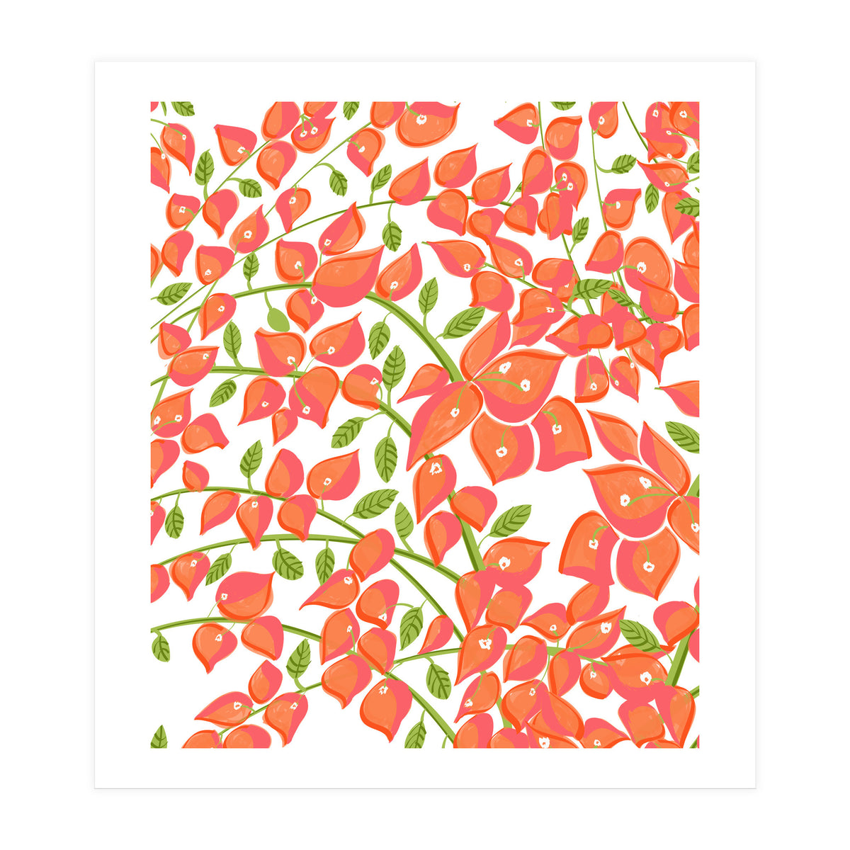 Bougainvillea Blush (Print Only)