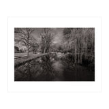 Bute Park, Cardiff  (Print Only) thumbnail