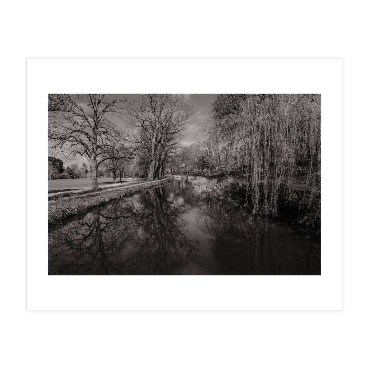 Bute Park, Cardiff  (Print Only)