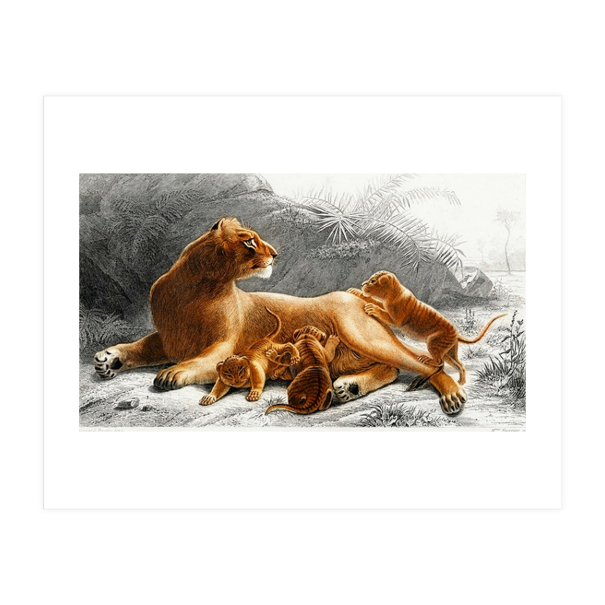 Fails Leo illustrated (Print Only)