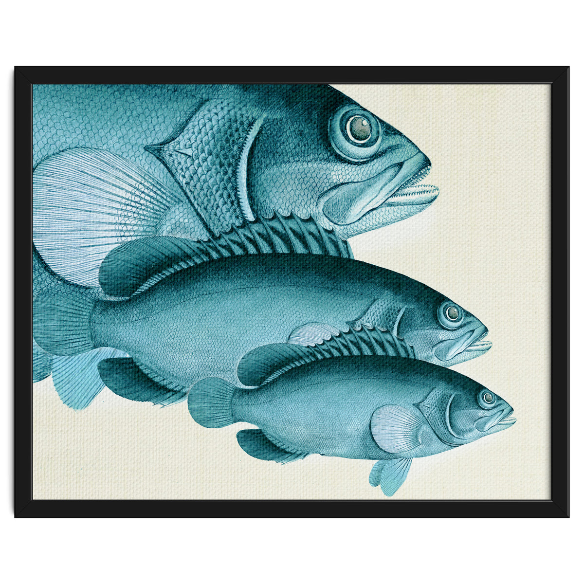 Fish Classic Designs 4