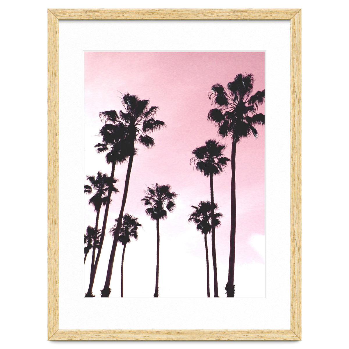 Palms & Sunset