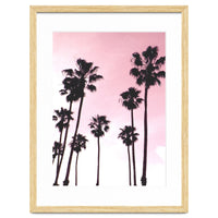 Palms & Sunset