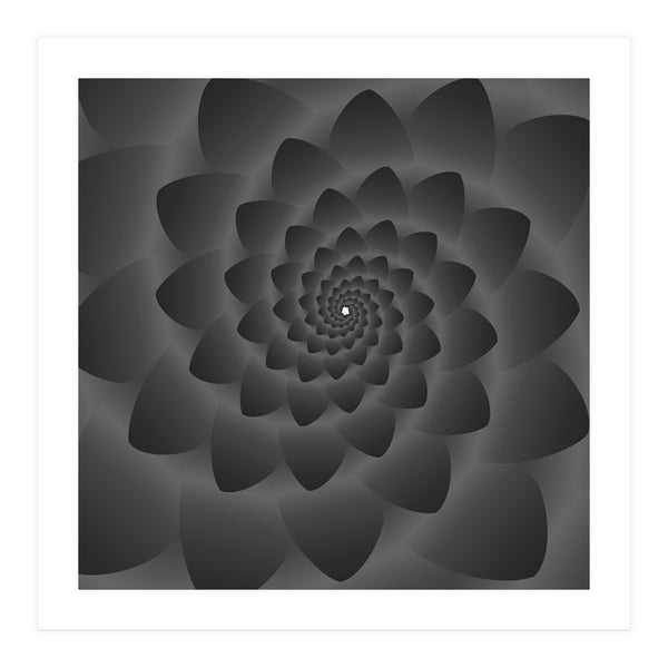 3 D Modern Black Floral (Print Only)