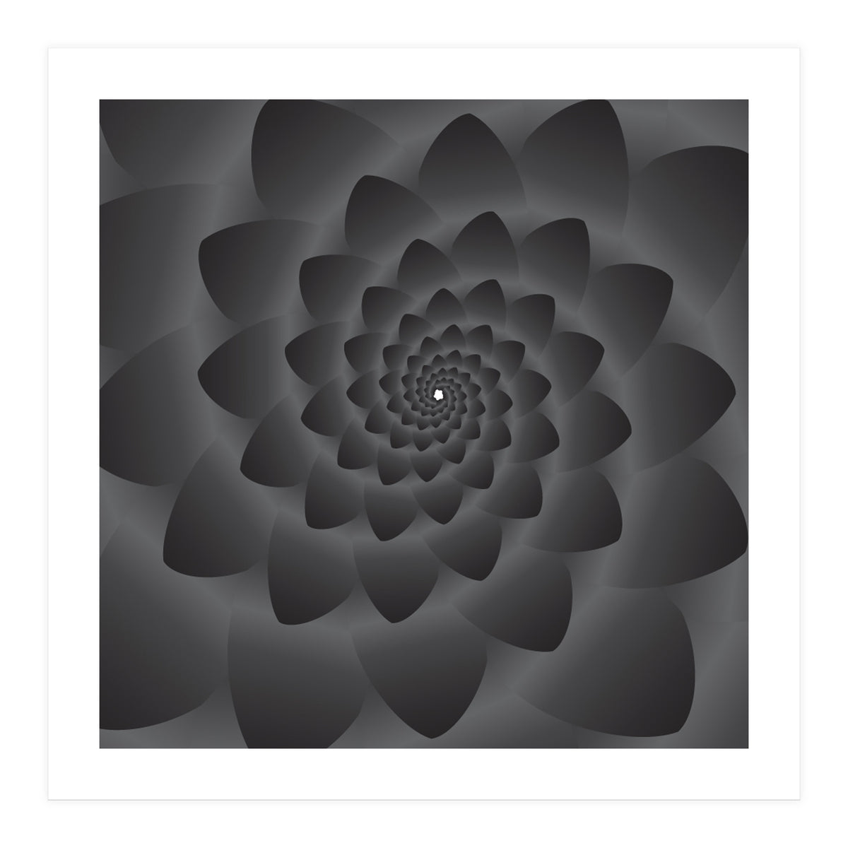 3 D Modern Black Floral (Print Only)