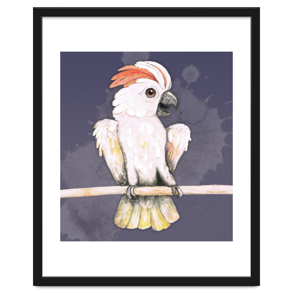 Salmon-crested cockatoo