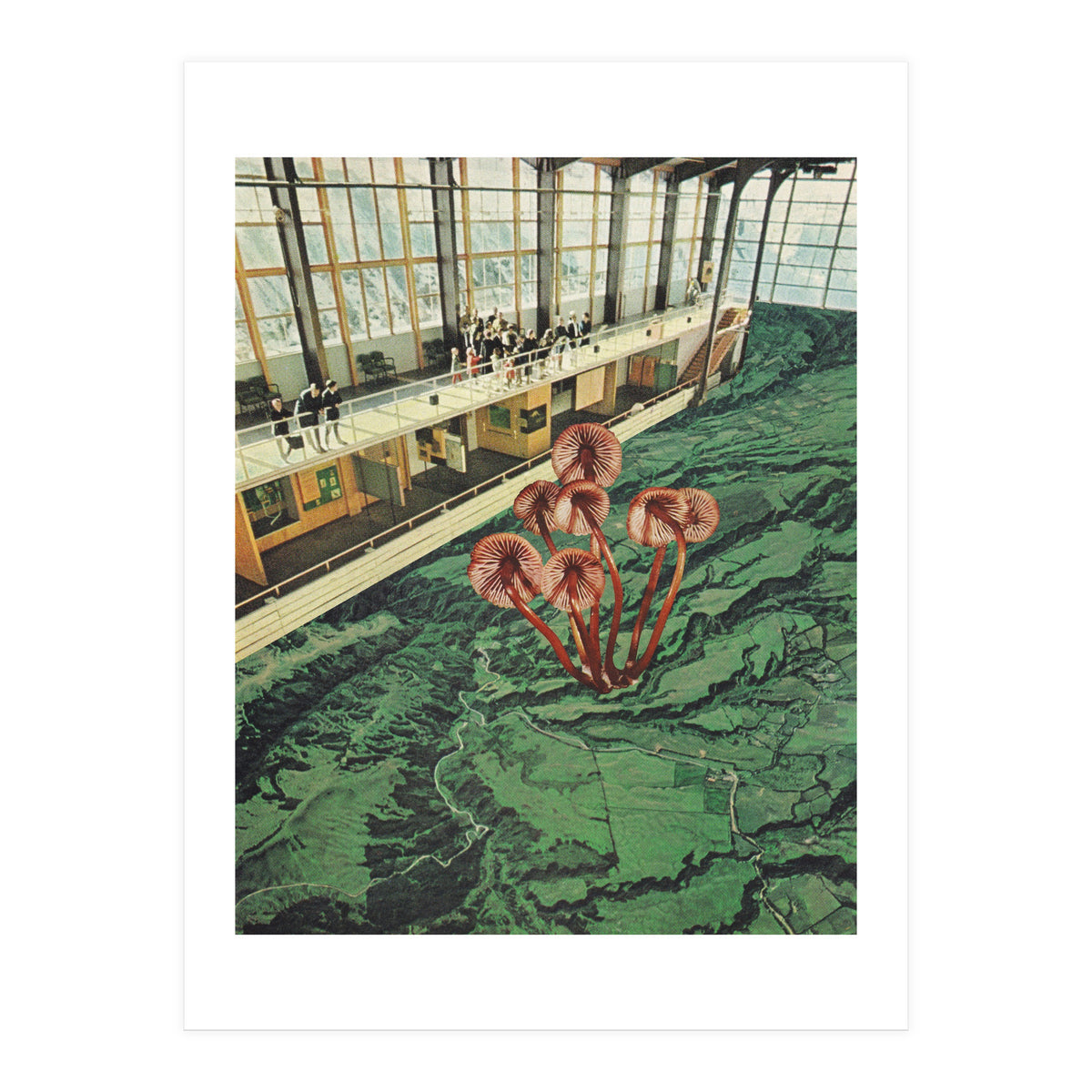 Mushroom Greenhouse (Print Only)