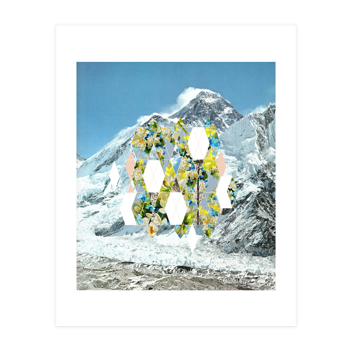 Mountain Flower (Print Only)