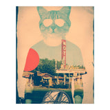 Cool Cat (Print Only) thumbnail