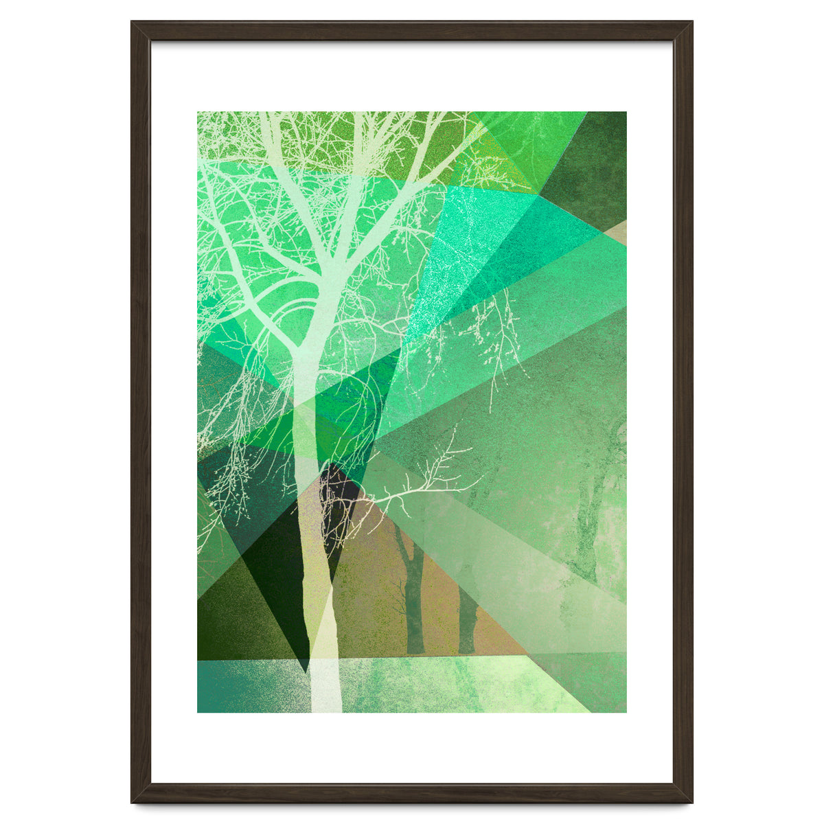 P22 B Trees And Triangles