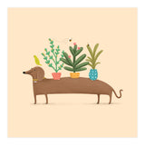 Dachshund And Parrot (Print Only) thumbnail