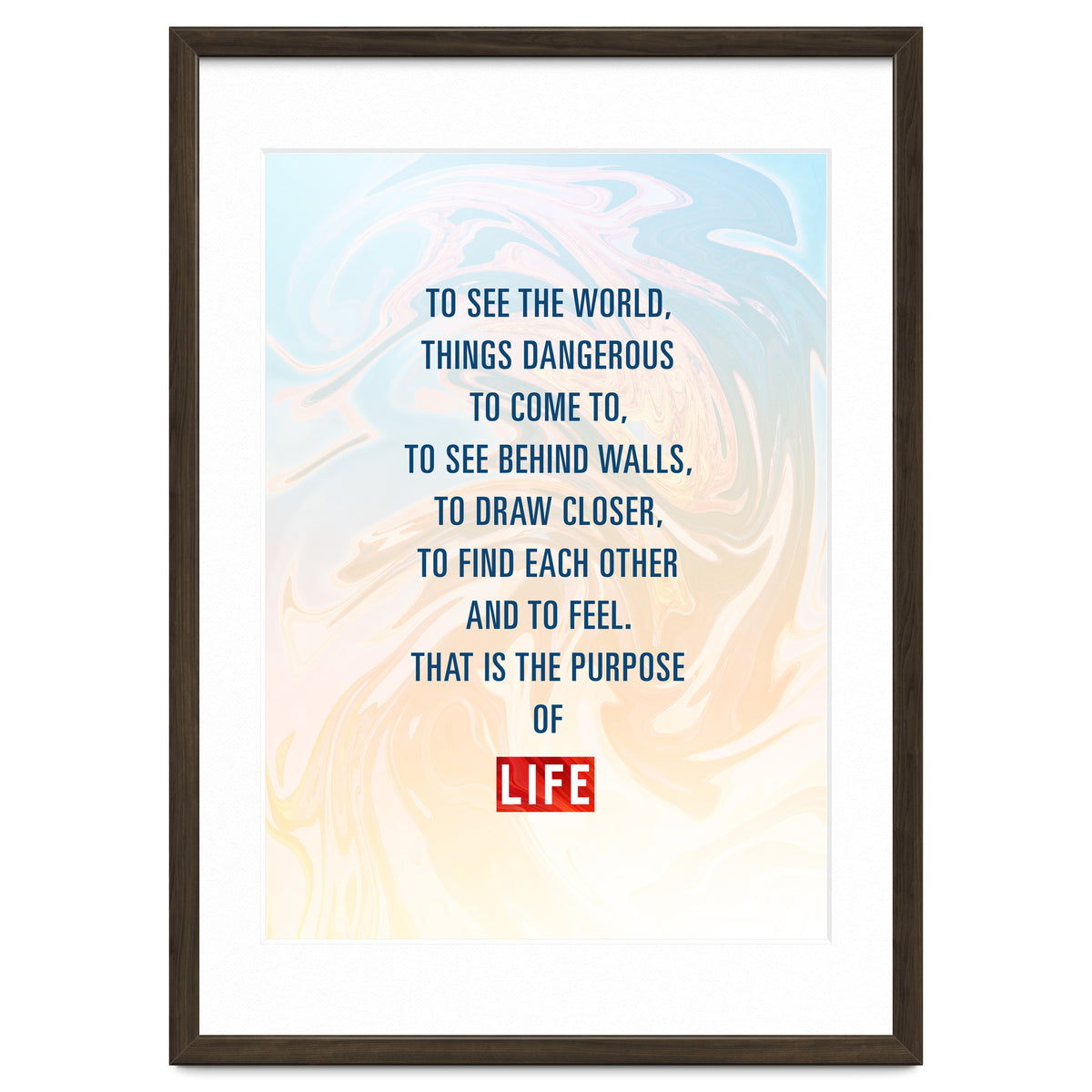 Secret Life of Walter Mitty