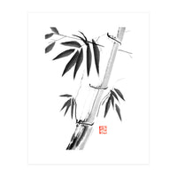 Bamboos 06 (Print Only)