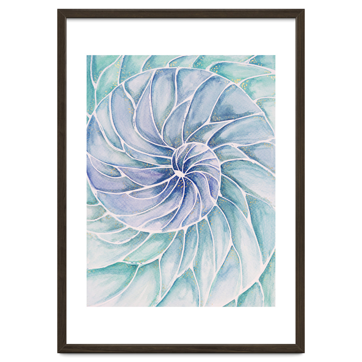 The inside of a shell