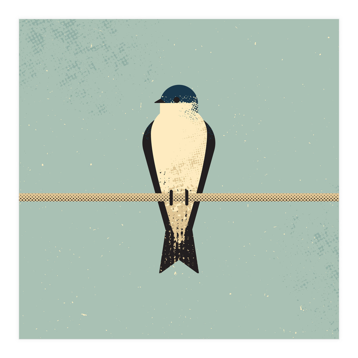 Swallow (Print Only)