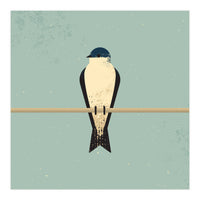 Swallow (Print Only)