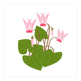 Cascading Cyclamen (Print Only) thumbnail