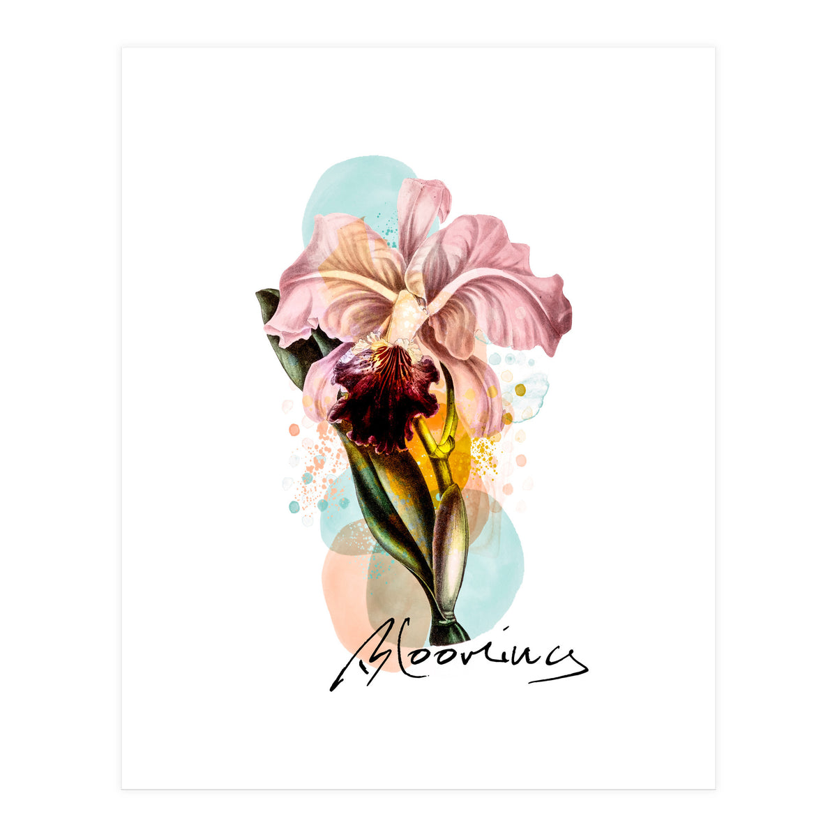 Blooming (Print Only)